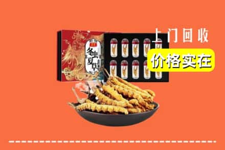 三门峡市回收冬虫夏草