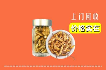 收购资讯:三门峡市回收散虫草