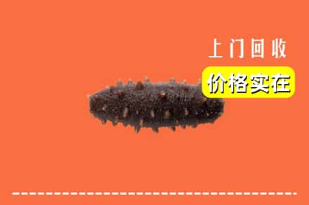 收购资讯:三门峡市回收海参